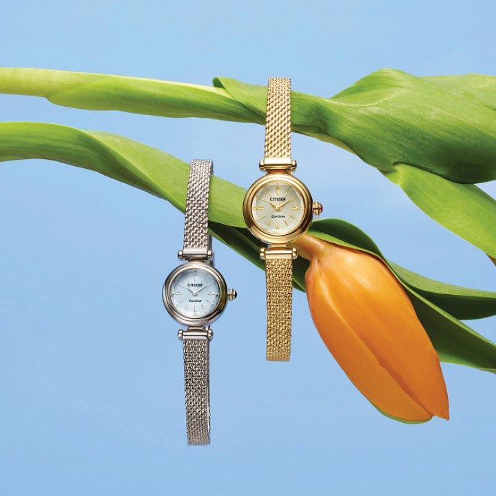 Citizen Ladies Watches