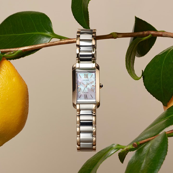 Citizen Ladies Watches