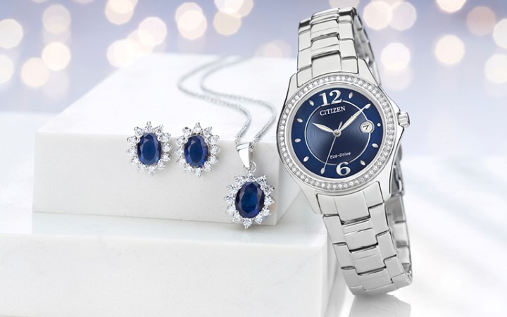 Citizen Gift Sets