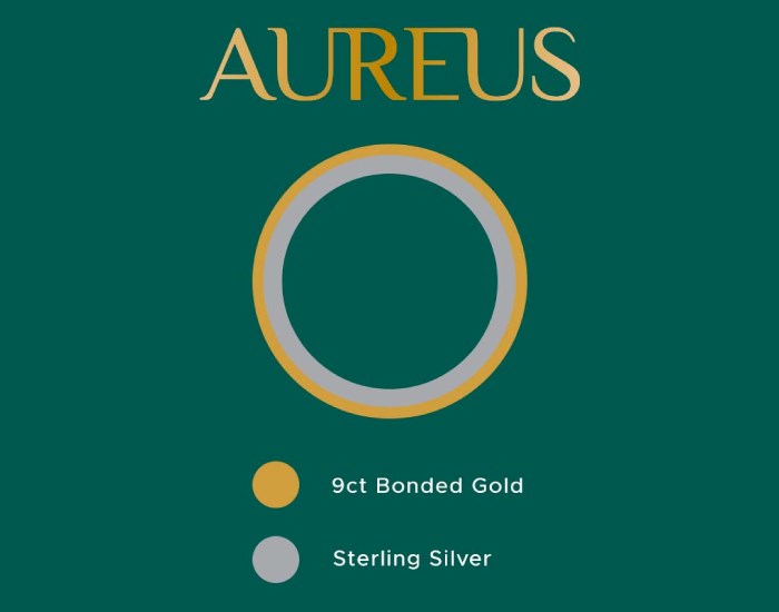 Aureus Diagram
