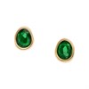Skagen SKJ1856710 SOFIE Gold Tone IP Green Sea Glass Earrings - A70267 Alternative Image