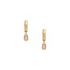 Skagen SKJ1864710 Anja Yellow IP Rose Quartz Drop Earrings - A70304 Alternative Image