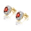 9ct Gold Garnet And  Diamond Stud Earrings - 5pts per pair - D54129 Alternative Image