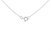 9ct White Gold Diamond Cluster Necklace - 1/4ct - D56128 Alternative Image