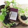 9ct Gold Diamond Trilogy Cluster Ring - 1/2ct - EXCLUSIVE - D5901 Alternative Image
