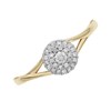 9ct Gold Diamond Cluster Ring - 15pts - D6066 Alternative Image