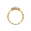 9ct Gold Diamond Cluster Ring - 40pts - D6075 Alternative Image