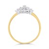 9ct Gold Diamond Cluster Ring - 30pts - D6090 Alternative Image