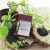 Love It! 9ct White Gold Diamond Kiss Ring - 10pts - D62355 Alternative Image