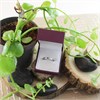 9ct White Gold Sapphire And Diamond Crossover Ring - D63141 Alternative Image