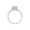 9ct White Gold Aquamarine And Diamond Ring - 7pts - D63160 Alternative Image