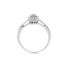 9ct White Gold Diamond Cluster Ring - 10pts - D7151 Alternative Image
