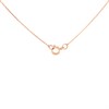 9ct Rose Gold Diamond Circle Necklace - 6pts - D7854 Alternative Image