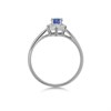 9ct White Gold Tanzanite And Diamond Cluster Ring - D79244 Alternative Image