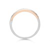 9ct Gold Three Colour Diamond Band Ring - 15pts - D8099 Alternative Image