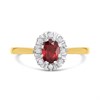 9ct Oval Garnet  And Diamond Cluster Ring - D8495 Alternative Image