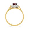 9ct Oval Garnet  And Diamond Cluster Ring - D8495 Alternative Image