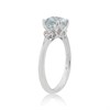 9ct White Gold Aquamarine And Diamond Ring - 7pts - D87001 Alternative Image