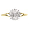 9ct Gold Diamond Cluster Ring - 1/4ct - D9283 Alternative Image
