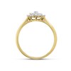 9ct Gold Diamond Cluster Ring - 1/4ct - D9283 Alternative Image