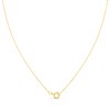 9ct Two Colour Gold Double Oval Diamond-Set Necklace - D95155 Alternative Image