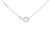 9ct White Gold Aquamarine And Diamond Necklace - D97120 Alternative Image