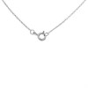 My Diamonds Silver Diamond Heart Paw Print Necklace - D99166 Alternative Image