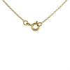 My Diamonds Gold Plated Silver Diamond Oval Necklace - D99175 Alternative Image