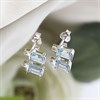 My Diamonds Silver Blue Topaz And Diamond Earrings - D99219 Alternative Image