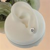 Silver Paw Print In Heart Earrings - 7mm - F01005 Alternative Image