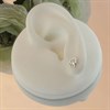 Silver Tree Of Life Stud Earrings - 7mm - F01015 Alternative Image