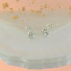 Silver Rose Stud Earrings - 7mm - F0106 Alternative Image