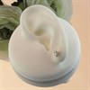 Silver Rose Stud Earrings - 7mm - F0106 Alternative Image