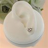 Silver Unicorn Stud Earrings - 10mm - F0126 Alternative Image
