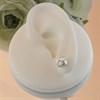 Silver Knot Stud Earrings - 7mm - F0231 Alternative Image