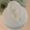 Silver Butterfly Stud Earrings - 7mm - F0261 Alternative Image