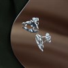 Silver Dolphin Stud Earrings - 15mm - F0271 Alternative Image