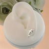 Silver Dolphin Stud Earrings - 15mm - F0271 Alternative Image