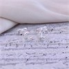 Silver Cubic Zirconia Crescent Moon Stud Earrings - F03113 Alternative Image
