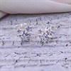 Silver Crystal Star Stud Earrings - F03117 Alternative Image