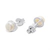 Silver Cultured Freshwater Pearl 5.5-6mm Stud Earrings - F03119 Alternative Image