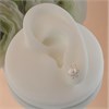 Silver Freshwater Pearl Flower Stud Earrings - 9mm - F0352 Alternative Image