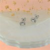 Silver Cubic Zirconia Halo Stud Earrings - 7mm - F04005 Alternative Image