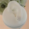Silver Cubic Zirconia Cluster Stud Earrings - 10mm - F04016 Alternative Image