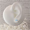 Silver Enamel Dolphin Stud Earrings - 10mm - F04022 Alternative Image