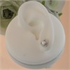 Silver Freshwater Pearl And Cubic Zirconia Stud Earrings - 8mm - F04035 Alternative Image