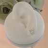 Silver Cubic Zirconia Butterfly Stud Earrings - 8mm - F04051 Alternative Image