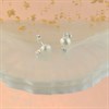 Silver Cubic Zirconia And Freshwater Pearl Stud Earrings - 10mm - F04053 Alternative Image