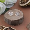 Silver Cubic Zirconia Circle Stud Earrings - 13mm - F04130 Alternative Image