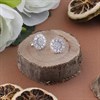 Silver Cubic Zirconia Cluster Stud Earrings - 11mm - F04149 Alternative Image